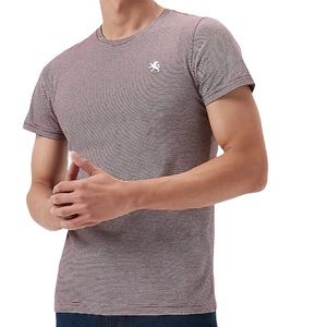Express Small Lion Pinstripe Tee